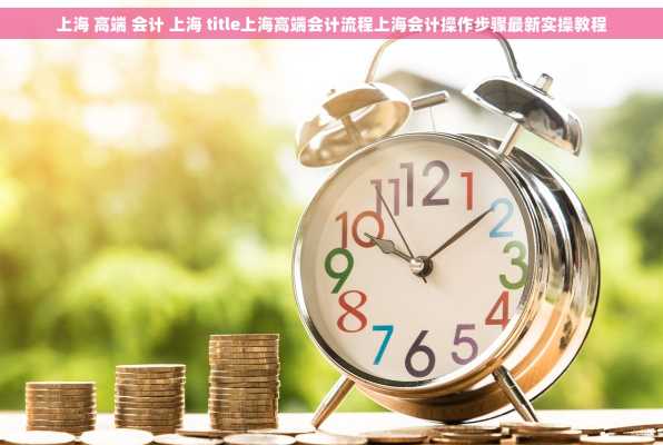 上海 高端 会计 上海 title上海高端会计流程上海会计操作步骤最新实操教程
