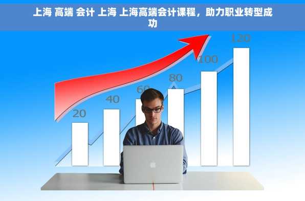 上海 高端 会计 上海 上海高端会计课程，助力职业转型成功
