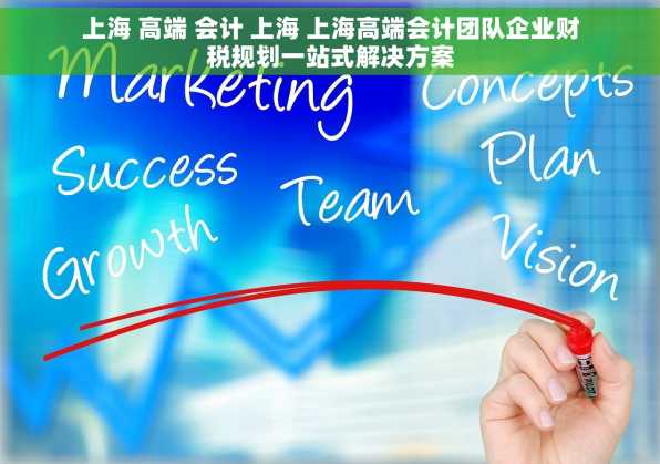上海 高端 会计 上海 上海高端会计团队企业财税规划一站式解决方案