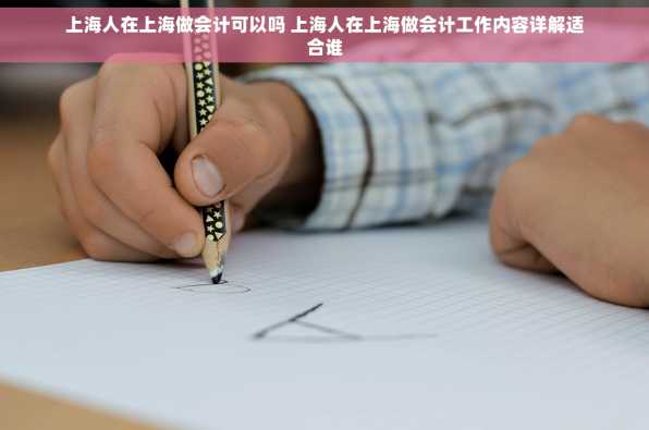 上海人在上海做会计可以吗 上海人在上海做会计工作内容详解适合谁
