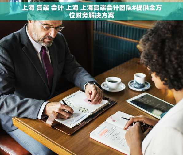 上海 高端 会计 上海 上海高端会计团队#提供全方位财务解决方案