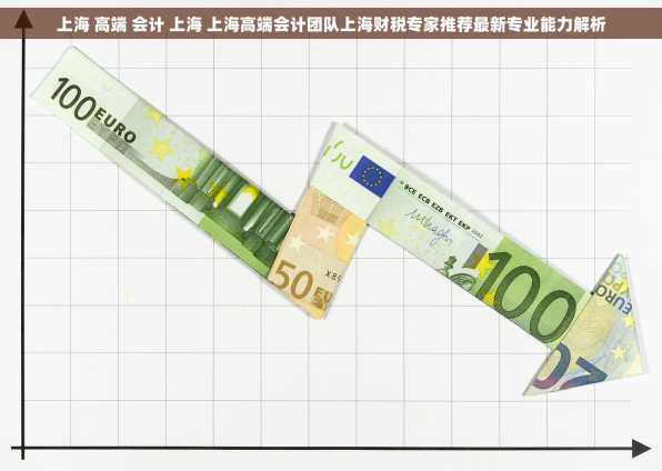上海 高端 会计 上海 上海高端会计团队上海财税专家推荐最新专业能力解析