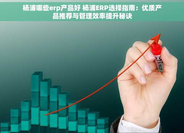 杨浦哪些erp产品好 杨浦ERP选择指南：优质产品推荐与管理效率提升秘诀