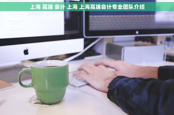 上海 高端 会计 上海 上海高端会计专业团队介绍