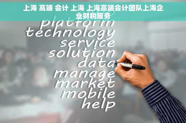 上海 高端 会计 上海 上海高端会计团队上海企业财税服务
