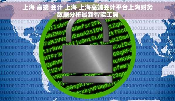 上海 高端 会计 上海 上海高端会计平台上海财务数据分析最新智能工具
