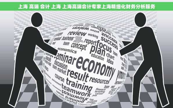 上海 高端 会计 上海 上海高端会计专家上海精细化财务分析服务