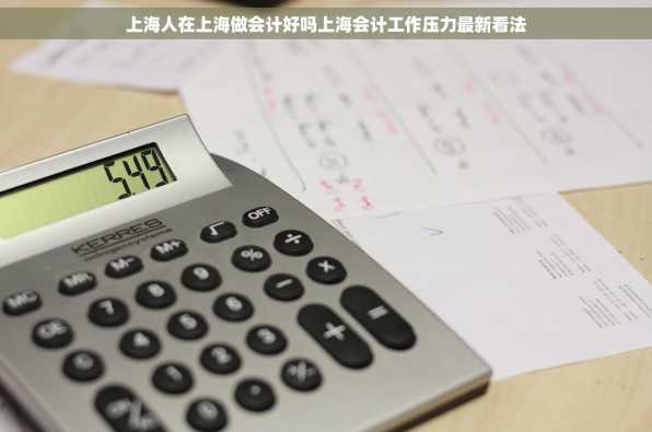 上海人在上海做会计好吗上海会计工作压力最新看法