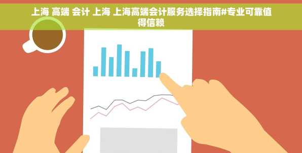 上海 高端 会计 上海 上海高端会计服务选择指南#专业可靠值得信赖