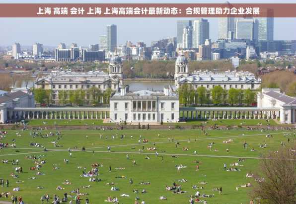 上海 高端 会计 上海 上海高端会计最新动态：合规管理助力企业发展