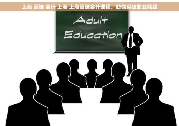 上海 高端 会计 上海 上海高端会计课程，助你突破职业瓶颈
