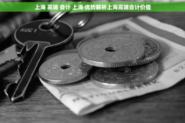 上海 高端 会计 上海 优势解析上海高端会计价值