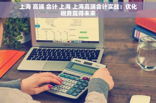 上海 高端 会计 上海 上海高端会计实战：优化税务赢得未来