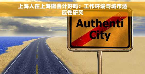 上海人在上海做会计好吗：工作环境与城市适应性研究