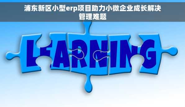 浦东新区小型erp项目助力小微企业成长解决管理难题