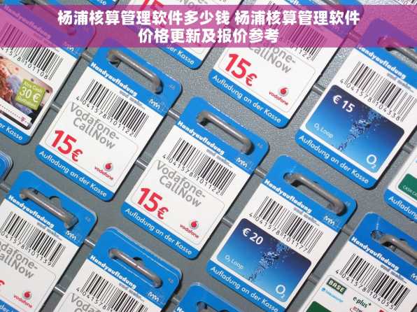 杨浦核算管理软件多少钱 杨浦核算管理软件价格更新及报价参考