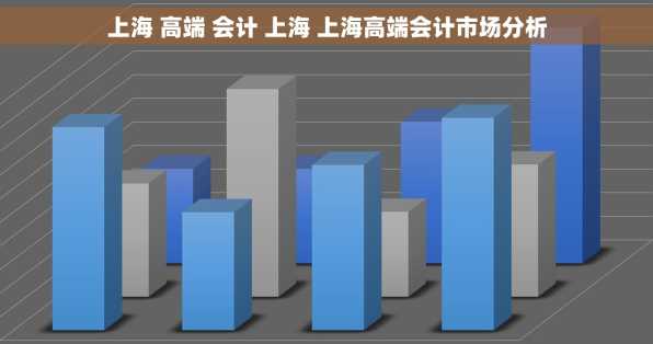 上海 高端 会计 上海 上海高端会计市场分析