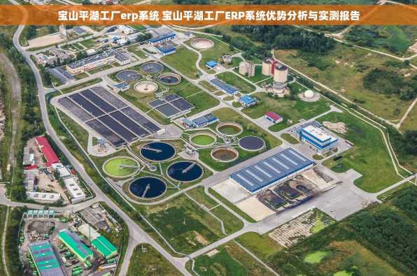 宝山平湖工厂erp系统 宝山平湖工厂ERP系统优势分析与实测报告