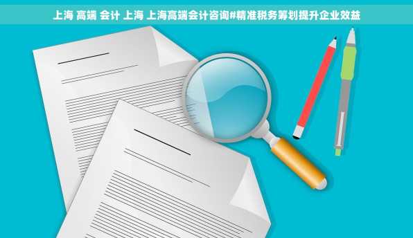 上海 高端 会计 上海 上海高端会计咨询#精准税务筹划提升企业效益
