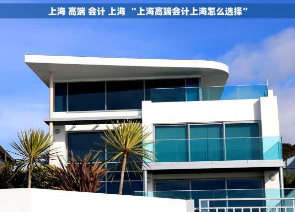 上海 高端 会计 上海 “上海高端会计上海怎么选择”