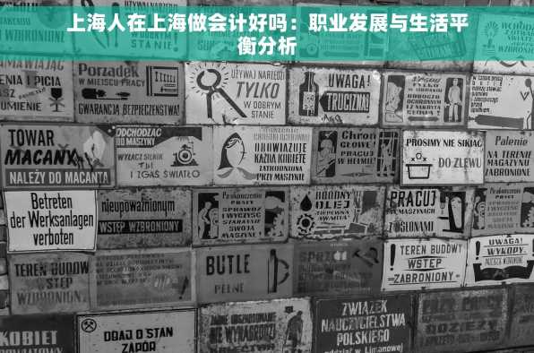 上海人在上海做会计好吗：职业发展与生活平衡分析