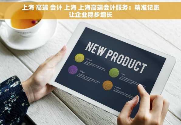 上海 高端 会计 上海 上海高端会计服务：精准记账让企业稳步增长