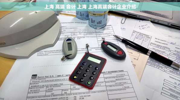上海 高端 会计 上海 上海高端会计企业介绍