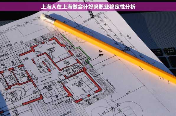 上海人在上海做会计好吗职业稳定性分析