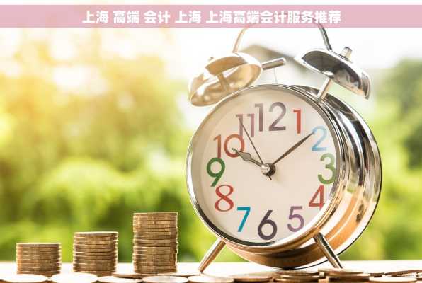 上海 高端 会计 上海 上海高端会计服务推荐