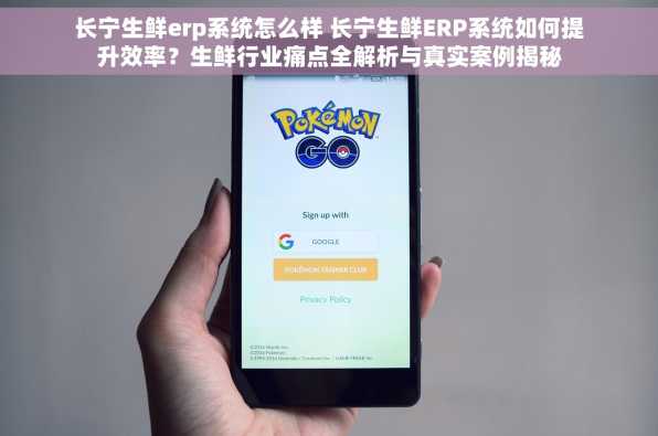 长宁生鲜erp系统怎么样 长宁生鲜ERP系统如何提升效率？生鲜行业痛点全解析与真实案例揭秘