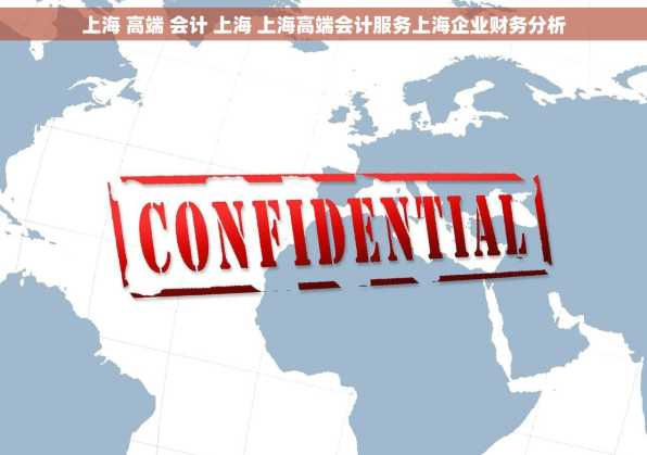 上海 高端 会计 上海 上海高端会计服务上海企业财务分析