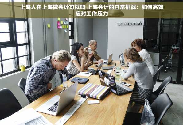 上海人在上海做会计可以吗 上海会计的日常挑战：如何高效应对工作压力