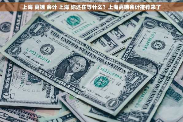 上海 高端 会计 上海 你还在等什么？上海高端会计推荐来了