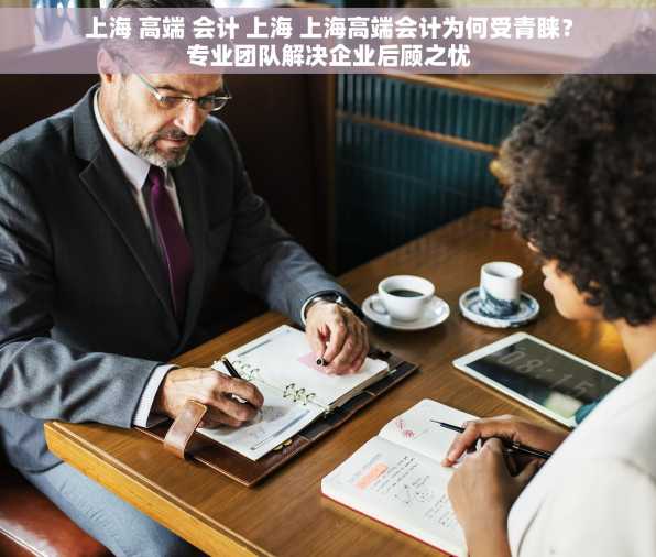 上海 高端 会计 上海 上海高端会计为何受青睐？专业团队解决企业后顾之忧