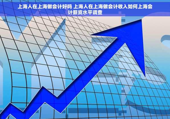 上海人在上海做会计好吗 上海人在上海做会计收入如何上海会计薪资水平调查