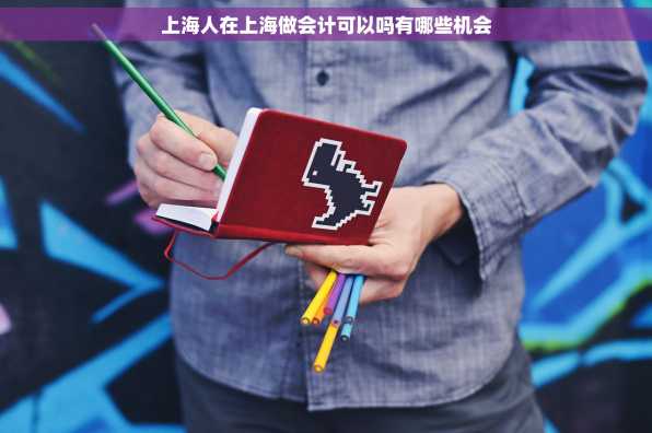 上海人在上海做会计可以吗有哪些机会