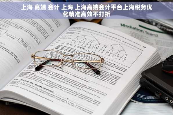 上海 高端 会计 上海 上海高端会计平台上海税务优化精准高效不打折