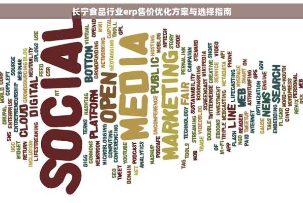 长宁食品行业erp售价优化方案与选择指南