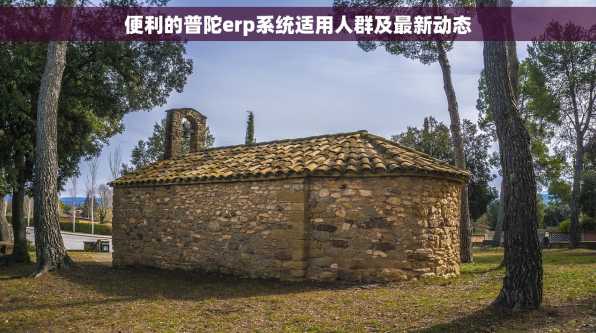 便利的普陀erp系统适用人群及最新动态