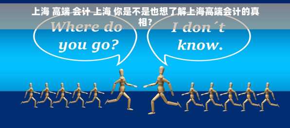 上海 高端 会计 上海 你是不是也想了解上海高端会计的真相？