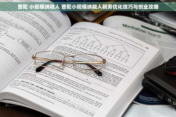 普陀 小规模纳税人 普陀小规模纳税人税务优化技巧与创业攻略
