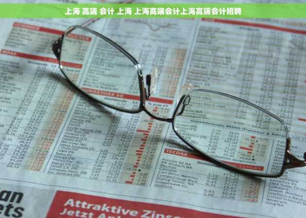 上海 高端 会计 上海 上海高端会计上海高端会计招聘