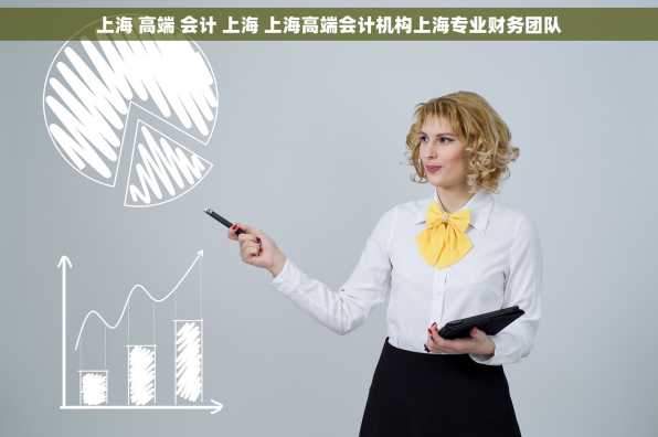 上海 高端 会计 上海 上海高端会计机构上海专业财务团队