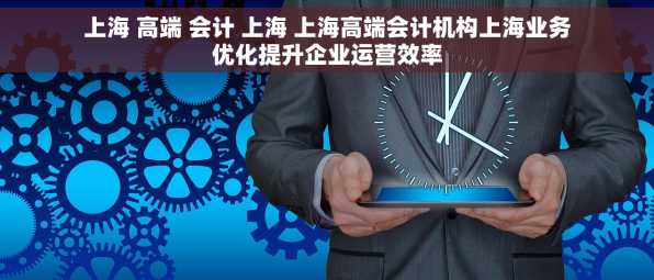 上海 高端 会计 上海 上海高端会计机构上海业务优化提升企业运营效率