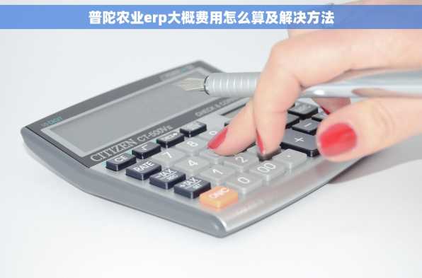 普陀农业erp大概费用怎么算及解决方法