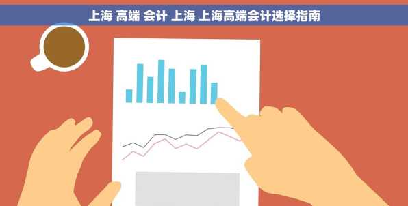 上海 高端 会计 上海 上海高端会计选择指南