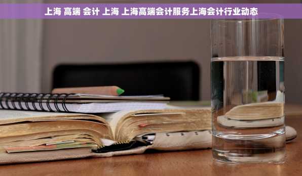 上海 高端 会计 上海 上海高端会计服务上海会计行业动态