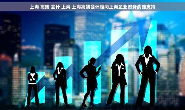 上海 高端 会计 上海 上海高端会计顾问上海企业财务战略支持
