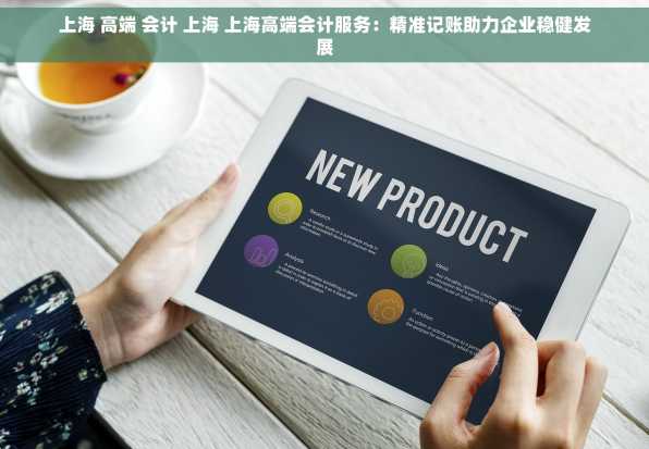 上海 高端 会计 上海 上海高端会计服务：精准记账助力企业稳健发展