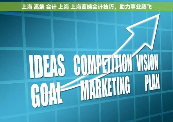 上海 高端 会计 上海 上海高端会计技巧，助力事业腾飞